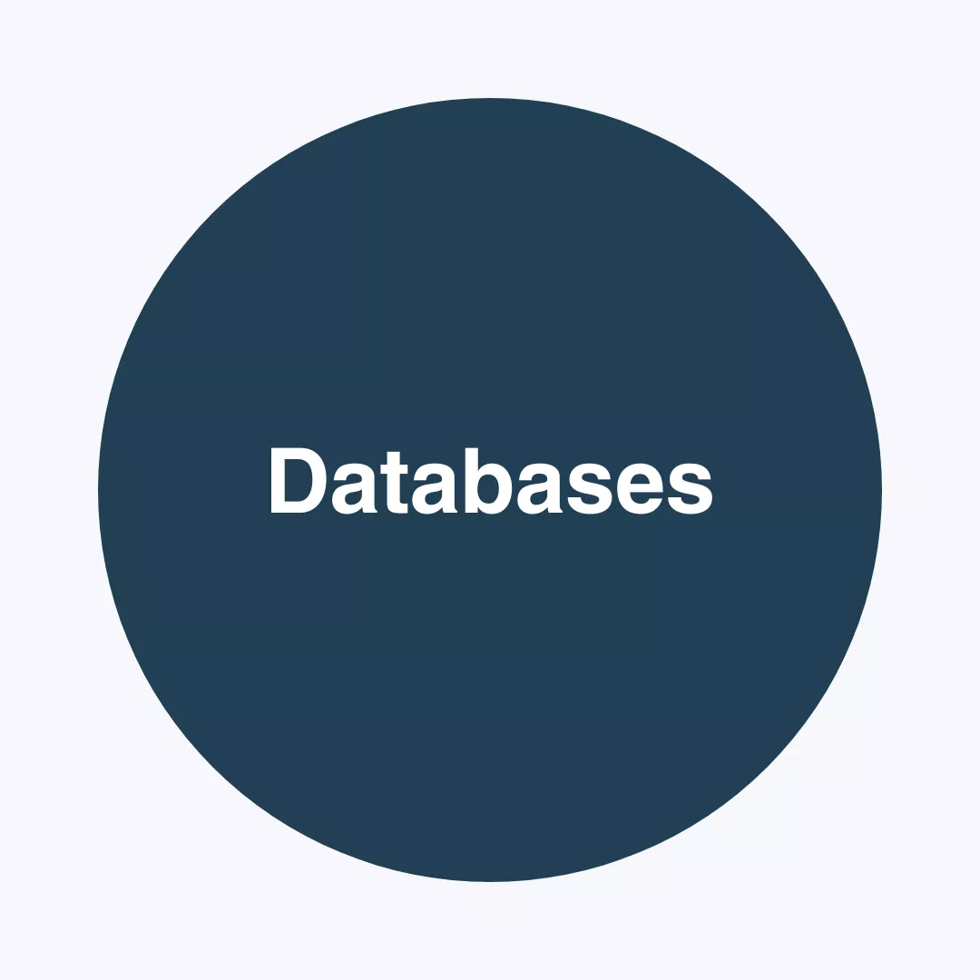 Blue circle with words Databases
